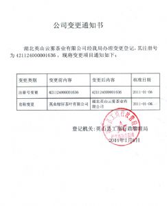 2011����I׃������